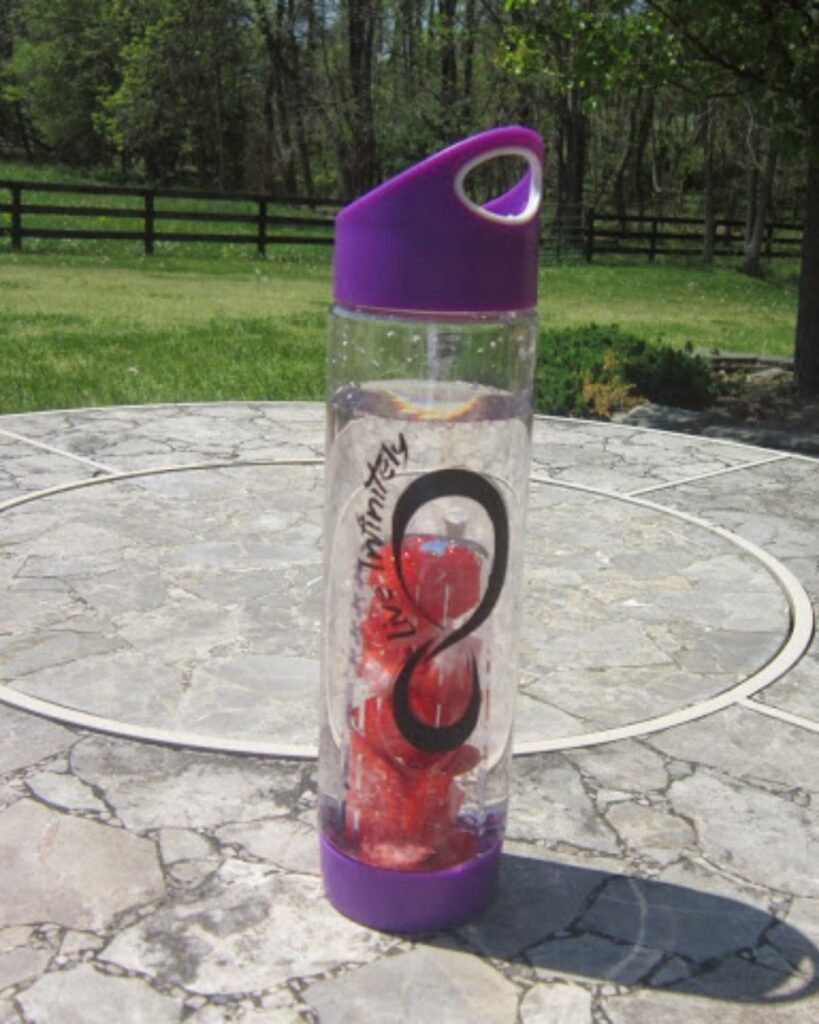 Fruit water bottle